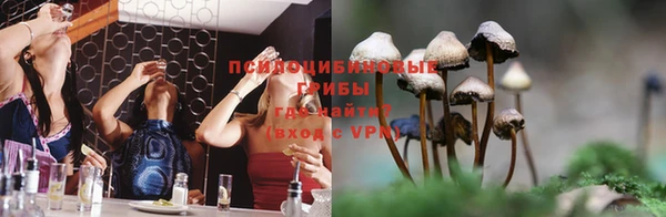 спиды Каменск-Шахтинский