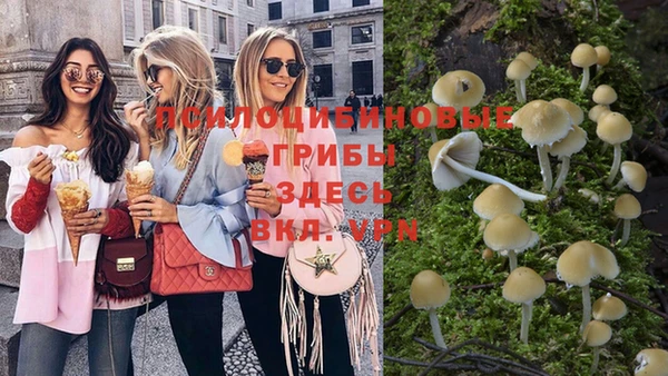 гидропоника Каменка