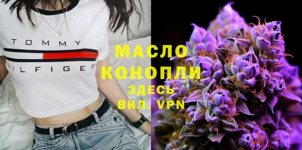 сатива Иннополис