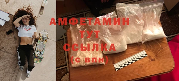 сатива Иннополис