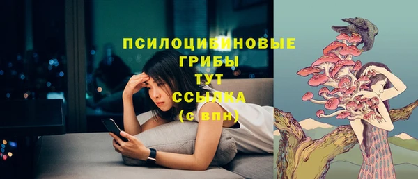 гидропоника Каменка